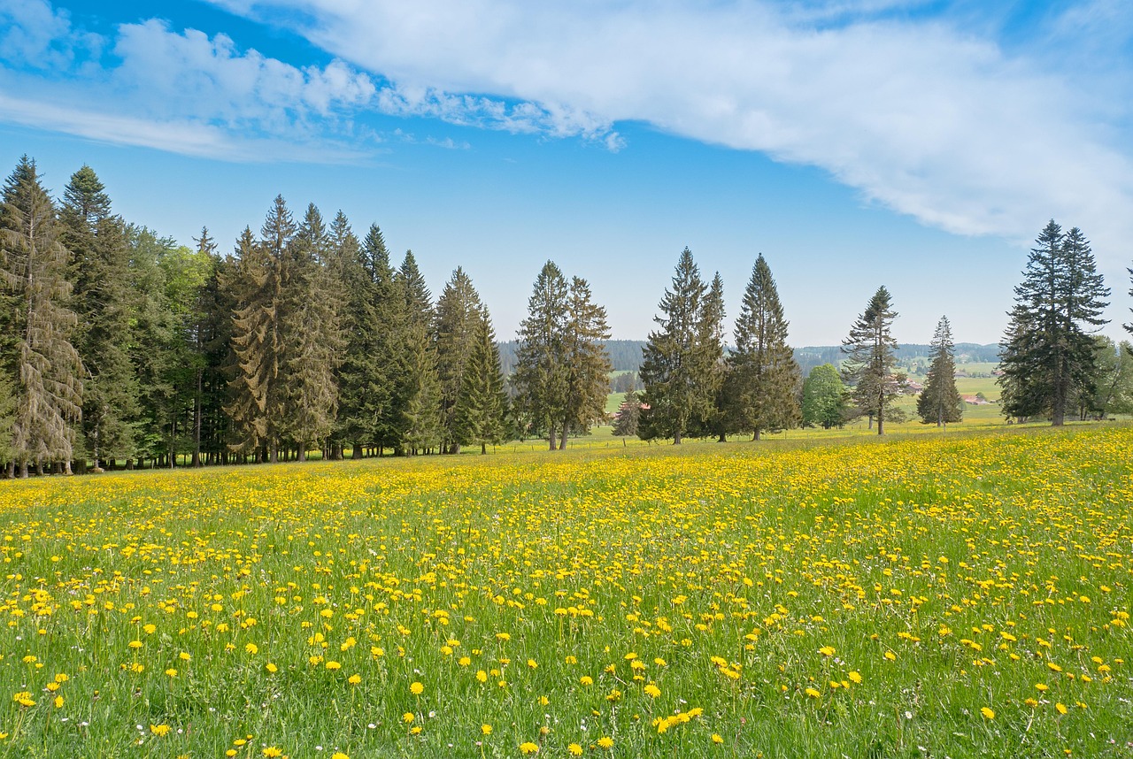 Romantischer Jura – von La Sarraz nach Croy **+