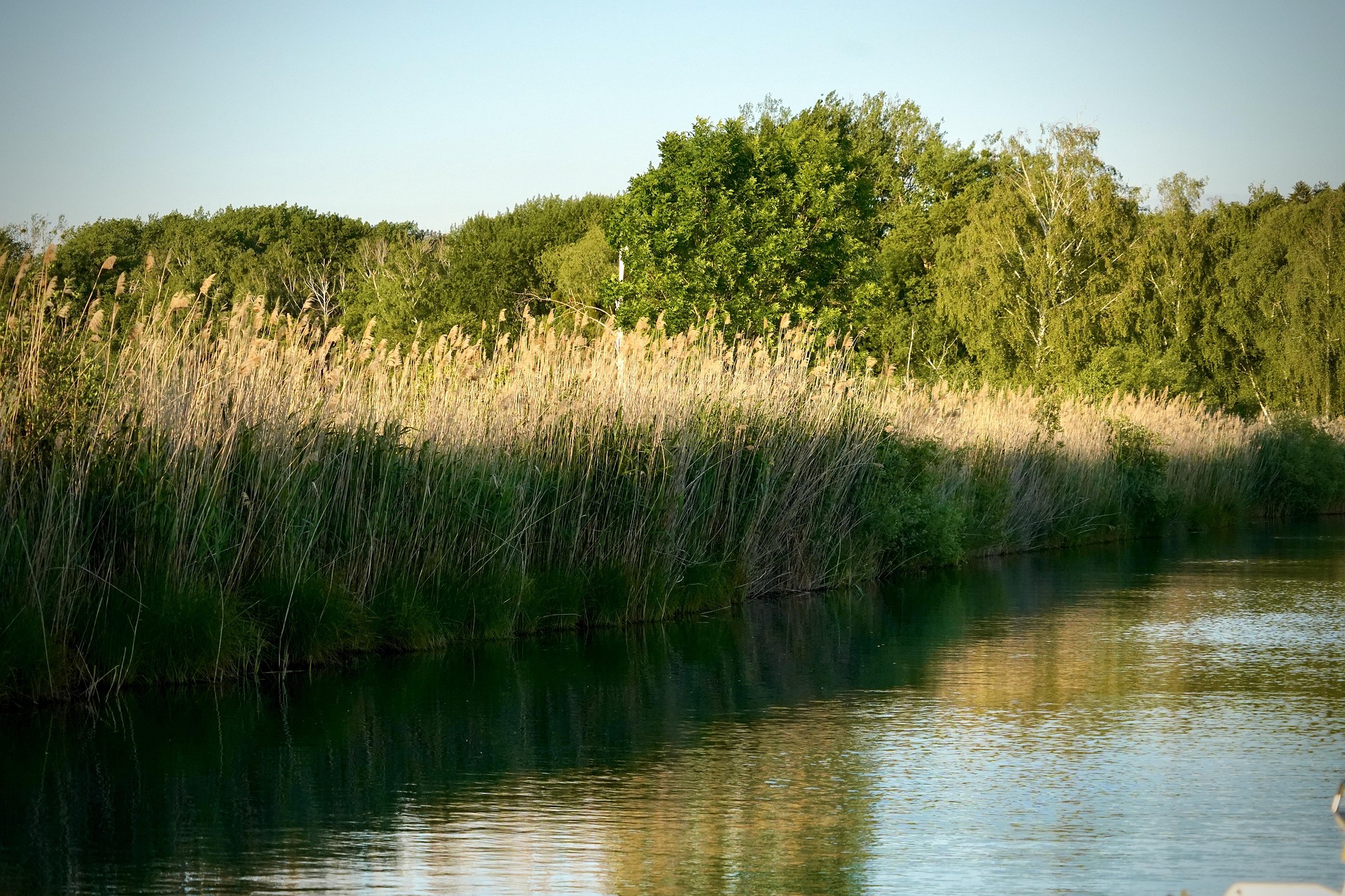 Tagesbummel im Seeland : La Sauge – Cudrefin – Neuchâtel