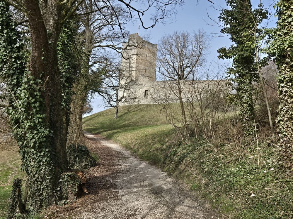 Yvonand – Vallon de Vaux – Tour St-Martin – Chêne-Pâquier **