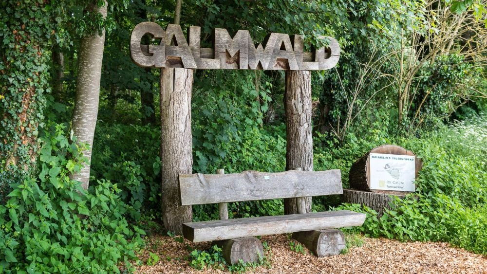 Von Gurmels durch den Galmwald nach Ulmiz **