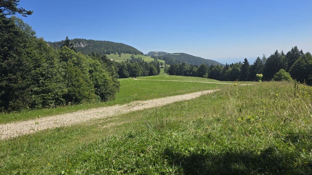 Jura-Höhenweg : Unterer Grenchenberg – Weissenstein ***