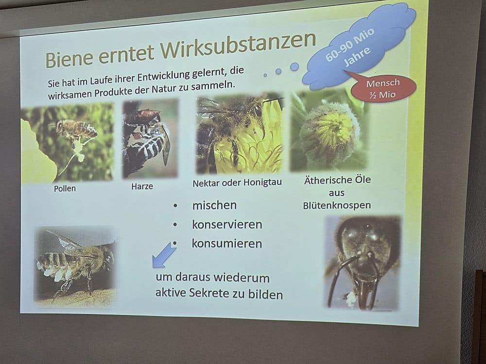 Bienen-Produkte, die «Pharma» der Natur