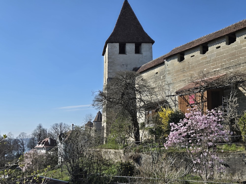 Wir erkunden das historische Städtchen Murten