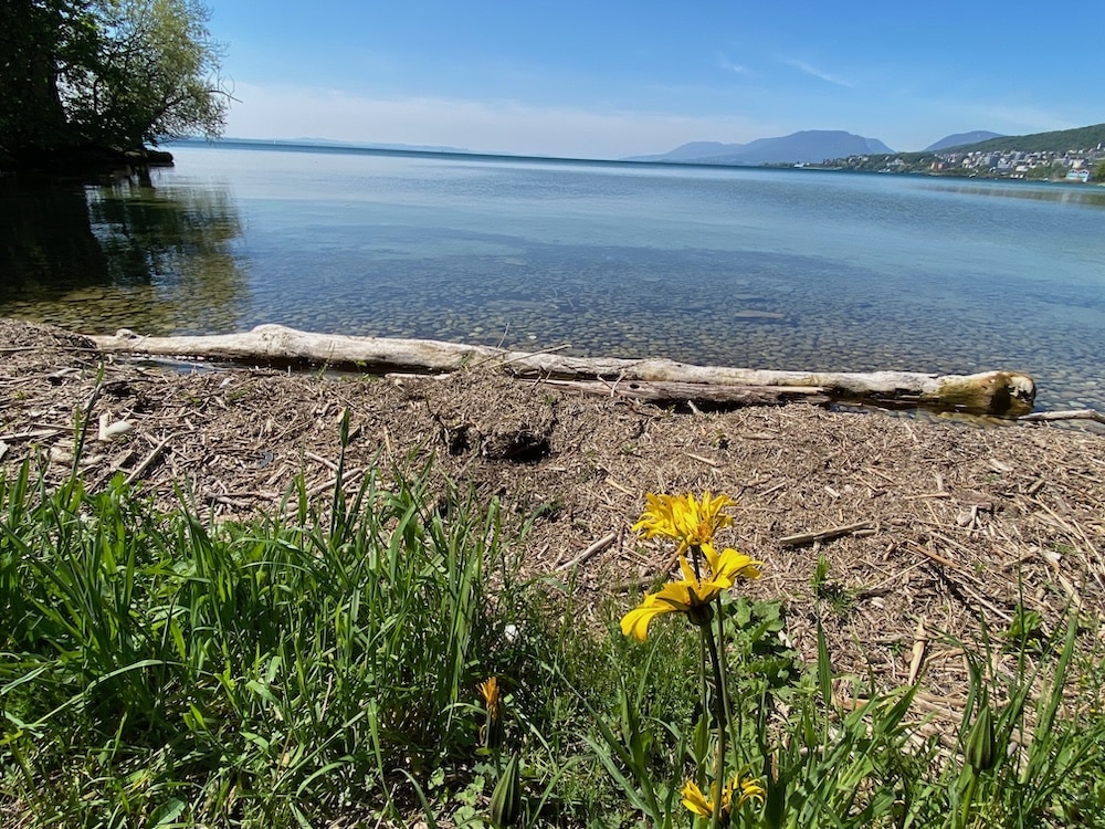 La Tène – Hauterive