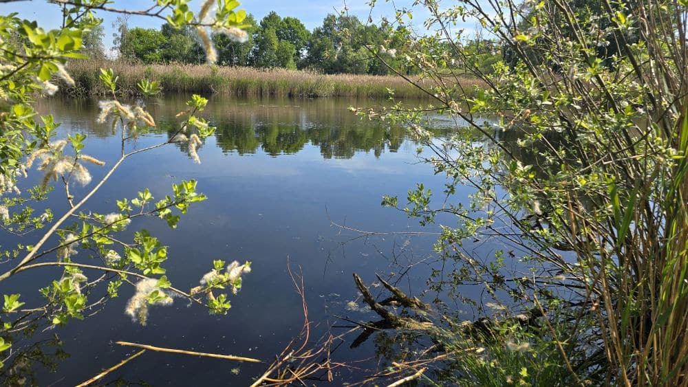 Wanderung durch das Düdinger Moos nach Freiburg