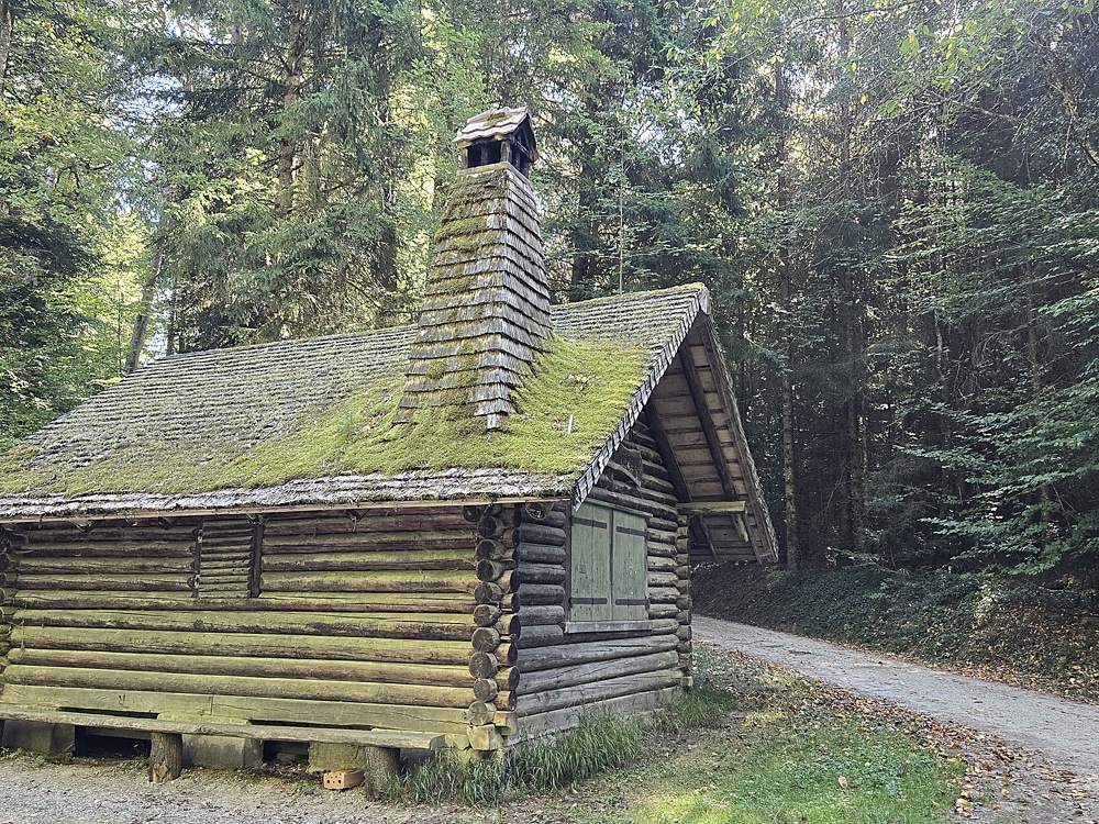 Wanderung im Galmwald bei Gurmels