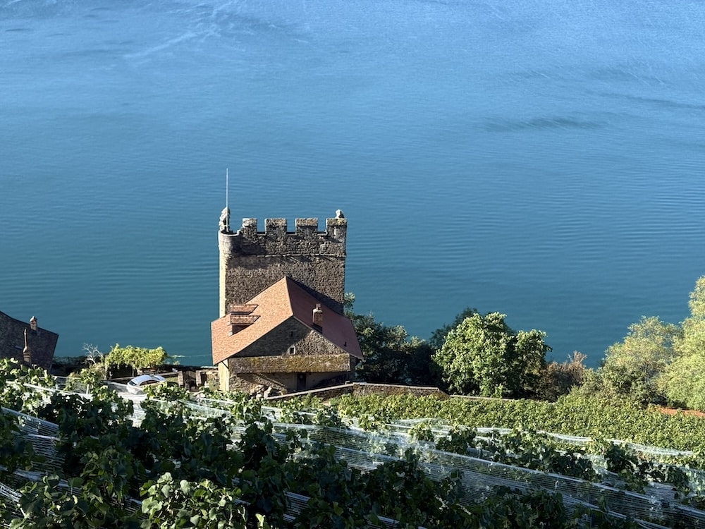 Im Lavaux den Trauben nach