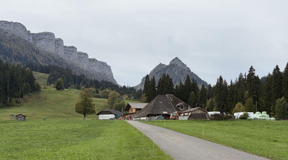 Herbstliche Grünenbergpass-Wanderung